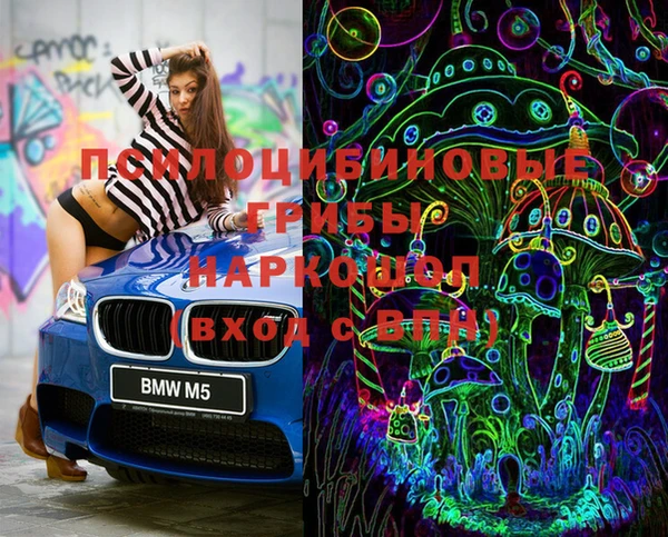 прущие грибы Зерноград