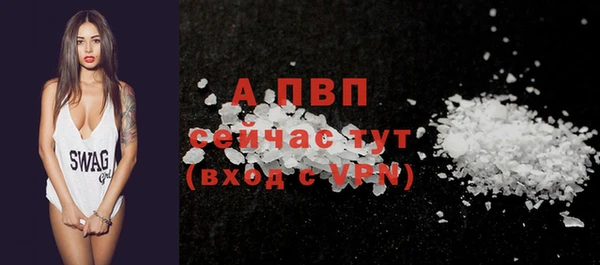 индика Зеленокумск