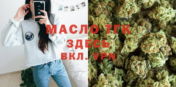 индика Зеленокумск