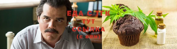 индика Зеленокумск