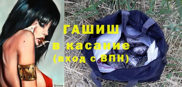 прущие грибы Зерноград