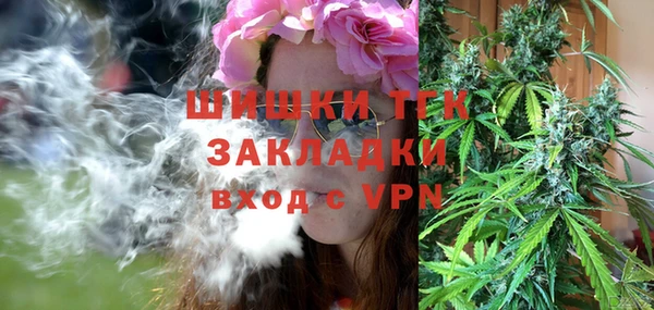 индика Зеленокумск