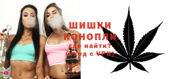 прущие грибы Зерноград