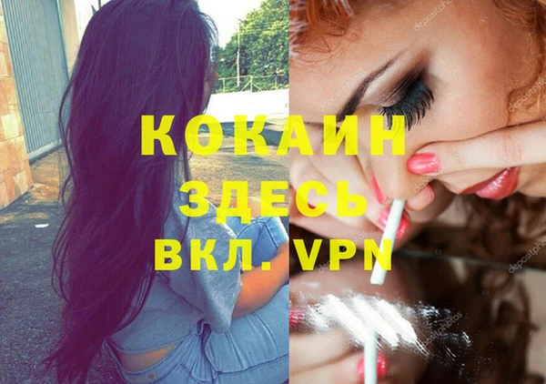 индика Зеленокумск