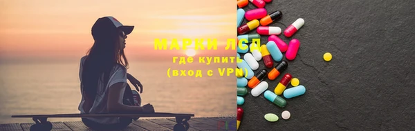 индика Зеленокумск