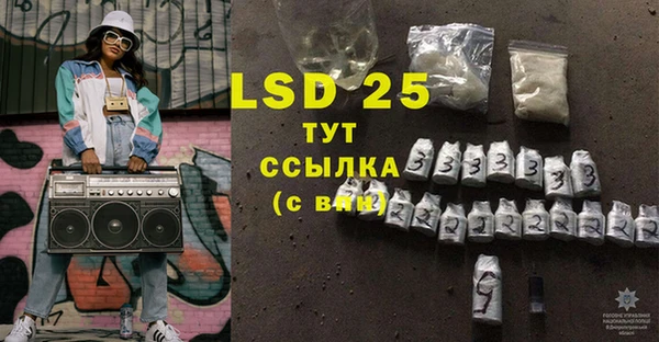прущие грибы Зерноград