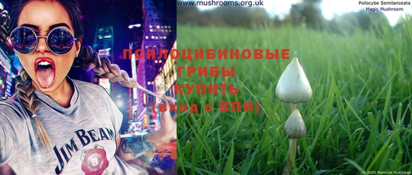 индика Зеленокумск
