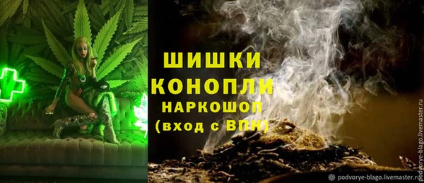 прущие грибы Зерноград