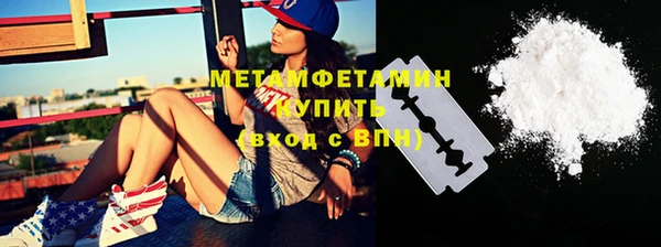 прущие грибы Зерноград