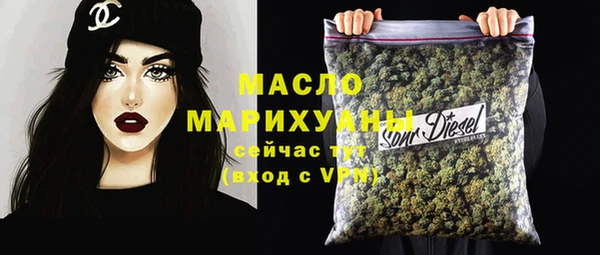 индика Зеленокумск