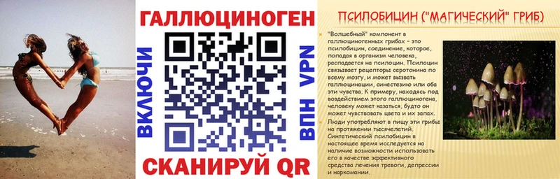 нарко площадка формула  Шали  Псилоцибиновые грибы Magic Shrooms 